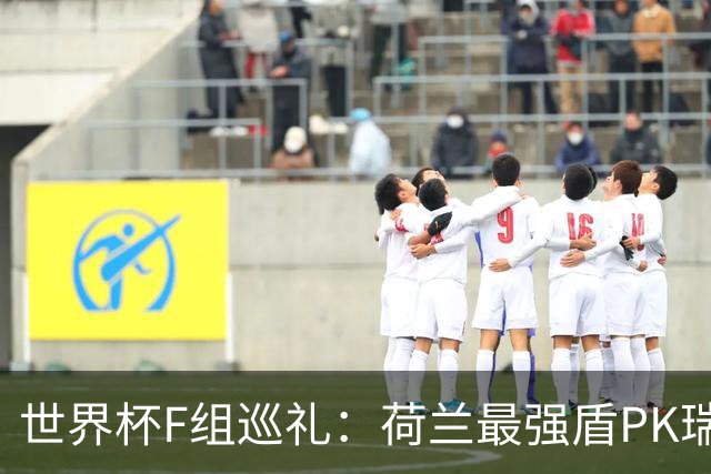 世界杯F组巡礼：荷兰最强盾PK瑞典犀利刀 日本短板明显