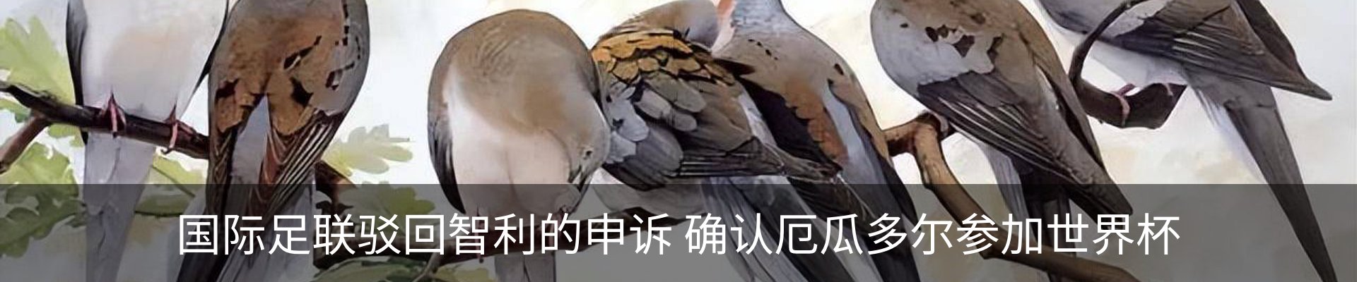 新闻中心