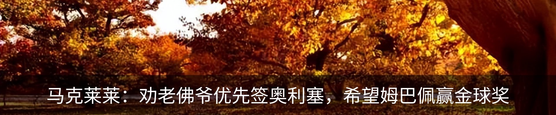 新闻中心
